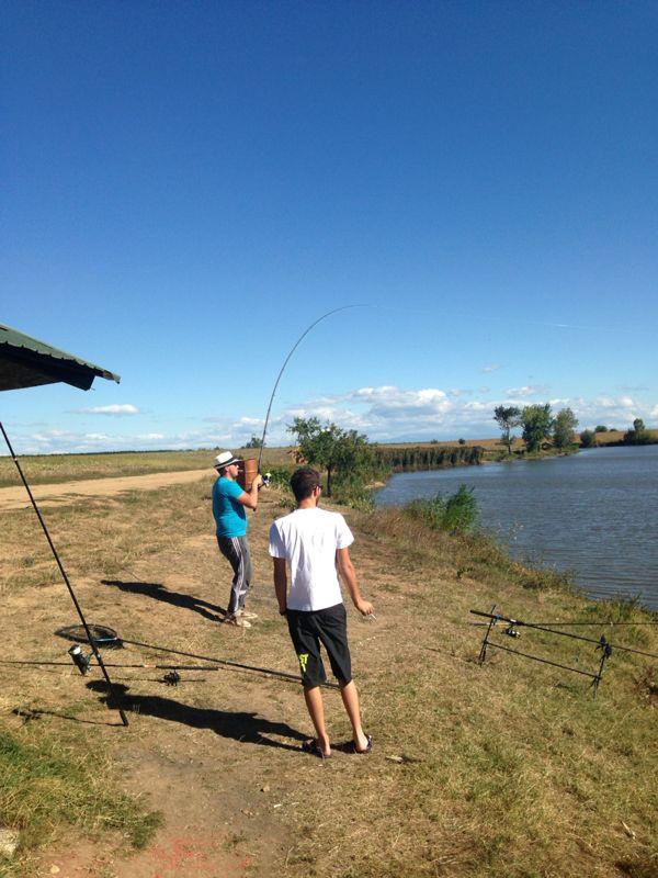 Teiu - img-20130916-wa0003.jpg